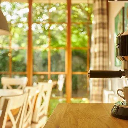 Seayou Yellow House * 로고보