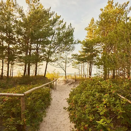 Seayou Yellow House *