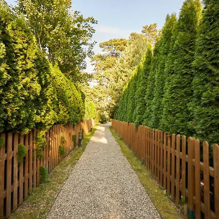 펜션 Seayou Yellow House 로고보