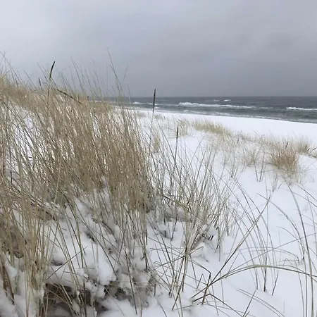 펜션 Seayou Yellow House