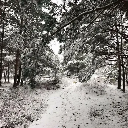 펜션 Seayou Yellow House 로고보