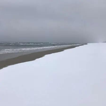 Seayou Yellow House 로고보