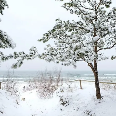 펜션 Seayou Yellow House *