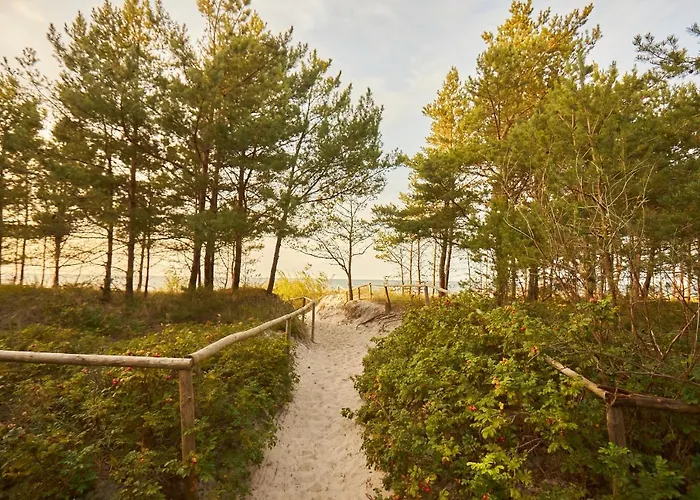 Seayou Yellow House *