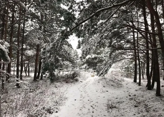 Vakantiehuis Seayou Yellow House Rogowo (Gryfice)