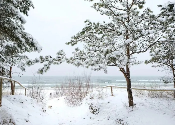 Vakantiehuis Seayou Yellow House *